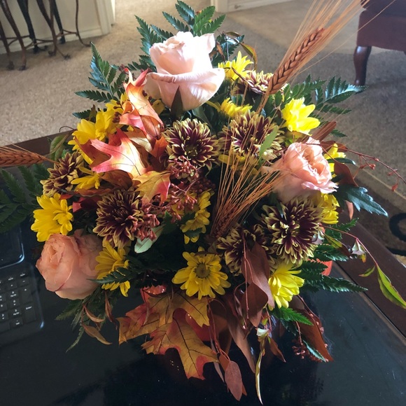 Meet your Posher, Gina - Picture 1 of 1